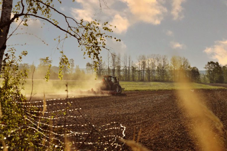 Opinnäytetyö: Kierrätyslannoitteet kiinnostavat viljelijöitä