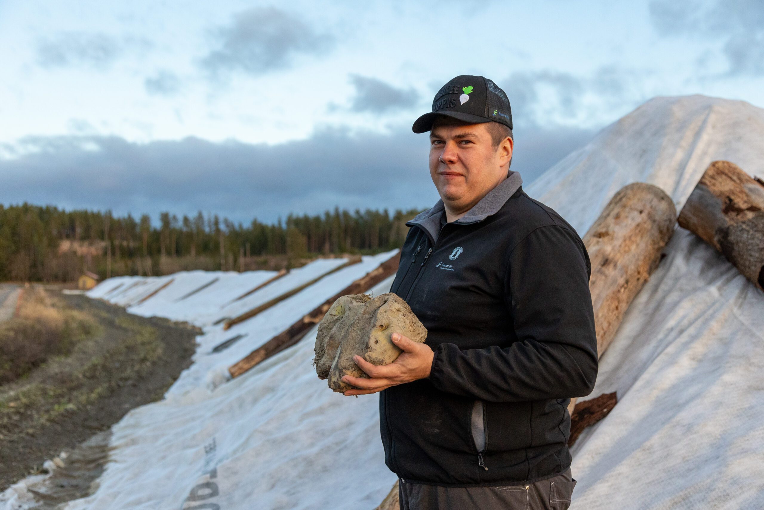 Kierrätyslannoitteilla vakautta sokerijuurikkaan viljelyyn